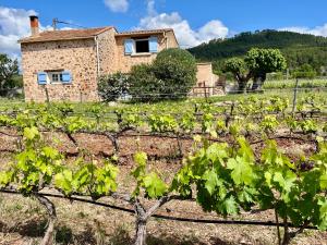 Maisons de vacances Au mas provencal de Chris : photos des chambres