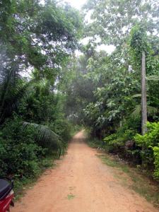 Forest Villa Nature Resort