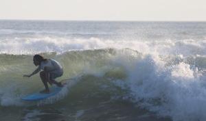 Coconut Corner - Rice Field Dome