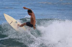 Coconut Corner - Rice Field Dome