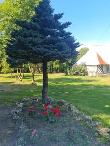 Maisons de vacances La petite maison normande : photos des chambres