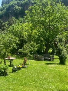 Apartament LashaGiorgi