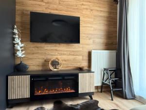 Luxury Mountain Apartment