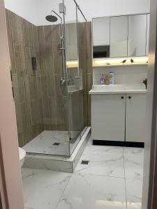 Luxury apartment in city center