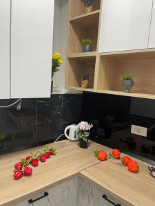 Luxury apartment in city center