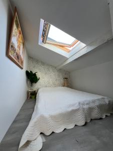 Appartements Jungle : photos des chambres