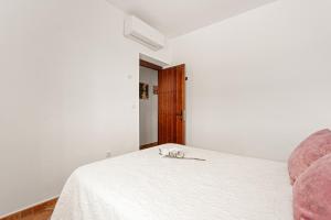 La Casita del Garrobo