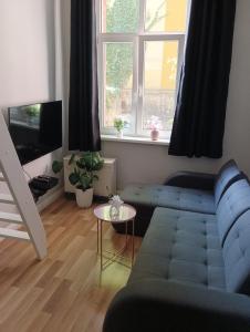 Kawalerka w Centrum Miasta