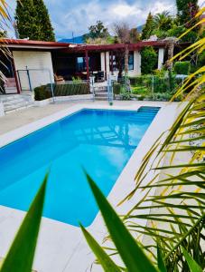 Little Sydney's Palm Springs