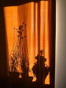 B&B Auberge t Koffer