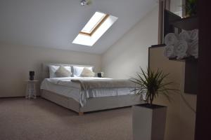 Enjoy Apartments - Central Nest Under the Sky