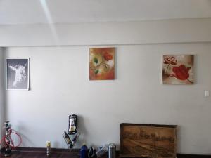 Beautiful View House