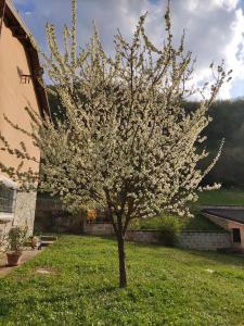 Casa Vacanze