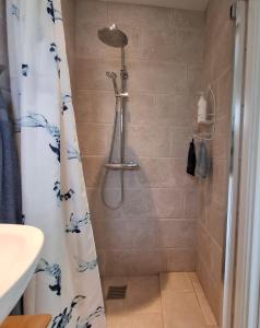 The Cherry Apartment - Den Gule Svane Guest House near Rønne & Beach