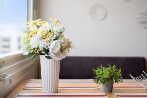 Stranddistel 4 Hafenkoje