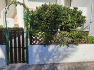 Casa Vacanze Gallipoli