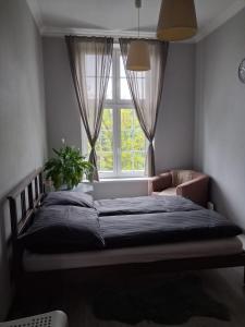 Apartament DŁUGA 39