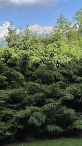 Ski & Bike Central Apartment