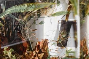 Modern Apartment with balcony in Zurich Center A Hoh - Self Checkin