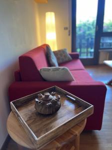 Ski & Bike Central Apartment