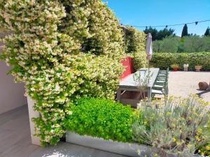 Mas de charme au pied des Alpilles