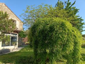 Maisons de vacances Gite - La Sabletine : photos des chambres
