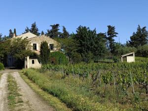 Maisons de vacances Gite - La Sabletine : photos des chambres