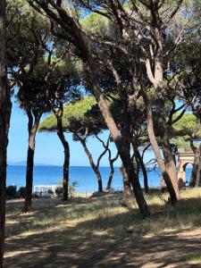 La Casa Blu sul Golfo