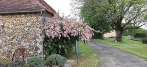 Gîte de campagne au cœur du Périgord à Rouffignac-Saint-Cernin-de-Reilhac