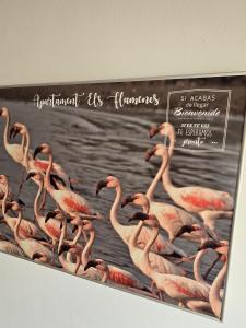 Apartament Els Flamencs