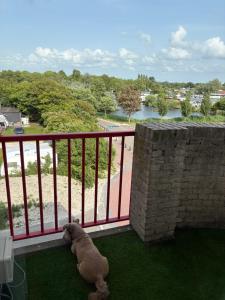 Appartament ,,Marti strand Makkum