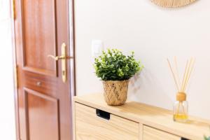 Piso con encanto andaluz