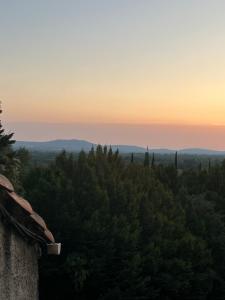 Maisons de vacances La Biscornue : photos des chambres