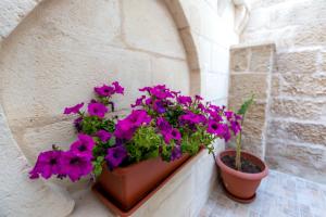 Rondinella by Palazzo Refolo