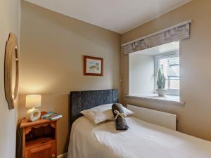3 Bed in Cosheston 90731