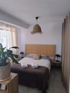 Appartements Studio Le Boheme proche gare : Appartement 1 Chambre