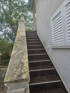 Sunny Pool Apartments