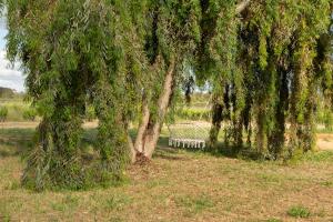 Maris Suite - Appartamento con vasca idromassaggio img34