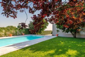 Rustic Haven Lodge with pool
