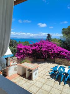 Residenza le bouganville img16