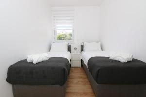 Dolphin view II with a pool by the beach