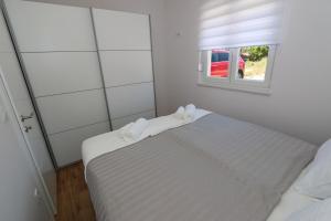 Dolphin view II with a pool by the beach