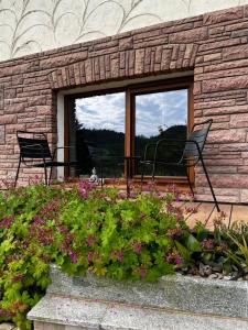 Gemütliches Apartment am Donau-Radweg -5 km von Passau