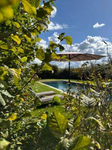 Maisons d'hotes Chambres d'hotes La Massonniere avec grand jardin - ideal familles, groupes et sejour nature - Sarthe : photos des chambres