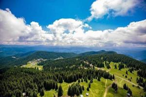 студио 307, к-с Стрийм Ризорт, Пампорово