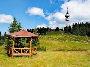 студио 307, к-с Стрийм Ризорт, Пампорово