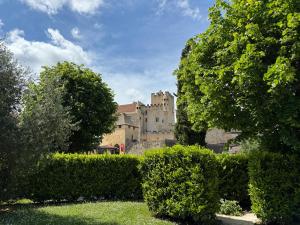 Maisons de vacances DREAM HOUSE in front of CHATEAU DE BEYNAC in Perigord , Dordogne : Maison 4 Chambres