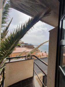 alquilaencanarias El Medano Spectacular terrace and sea views A