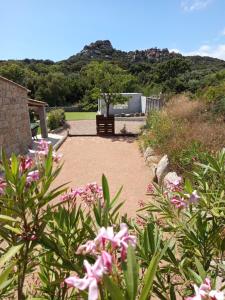 Villas Bergerie U Caseddu : photos des chambres