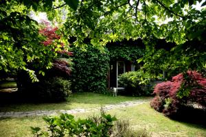 B&B LAlbero Maestro